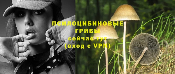 марки lsd Алзамай