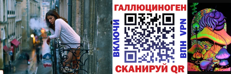 darknet какой сайт магазин продажи наркотиков Жуковский Галлюциногенные грибы прущие грибы